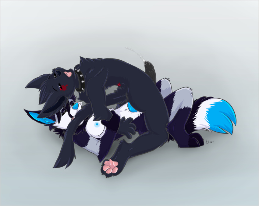 2014 anal anal_sex animal_genitalia anthro black_fur blue_markings breasts canine canine_penis collar cum duo feline from_behind fur futa_on_male futanari grey_fur intersex knot kwik lying male mammal markings nipples nude on_back penetration penis purple_fur scar sex