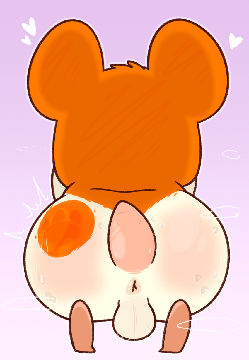 anus ass balls big_butt bodily_fluids crushpepper from_back genitals hamtaro hamtaro_(series) hi_res huge_butt male non-human non-human_only presenting presenting_anus spank_marks sweat sweaty_butt tagme toony