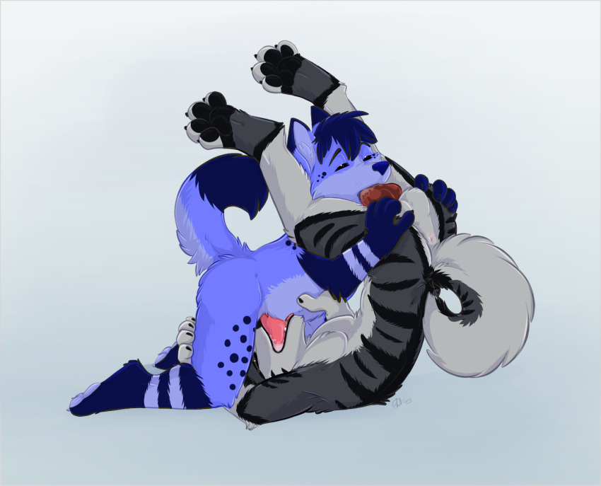 69 2014 animal_genitalia anthro anus balls blue_fur blue_hair canine canine_penis duo fellatio fur furry grey_fur hair knot kwik legs_up lying male male_only mammal multiple_males nude on_back oral penis sex upside-down yaoi