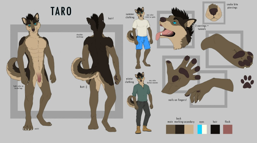 1boy 2014 anthro balls blue_eyes boots brown_fur canine clothing fur hair hybrid male male_only mammal model_sheet multiple_poses nude pawpads paws penis pose solo tar0 text tongue wolf