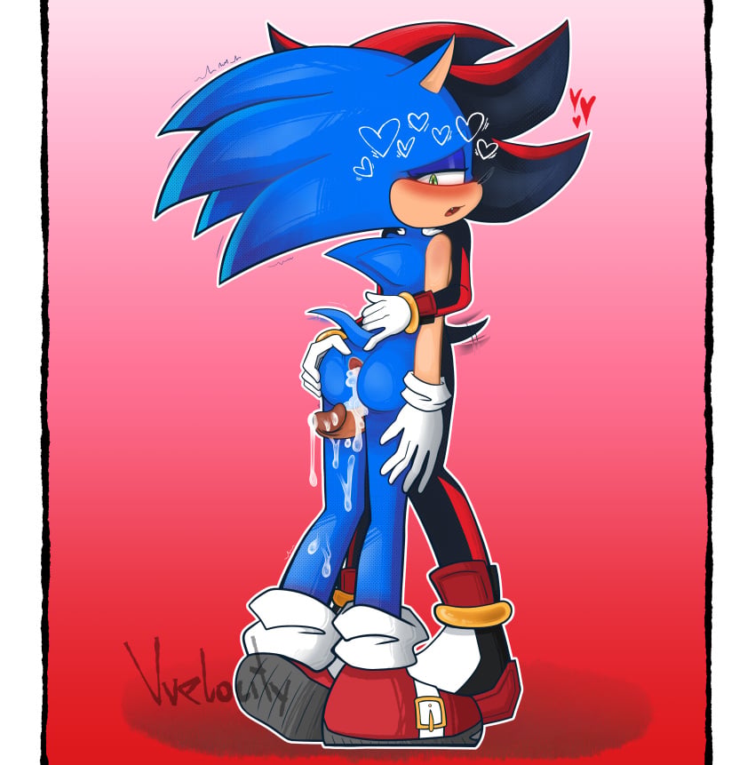 Shadow The Hedgehog (Sonic (Series)) Rule 34 Image