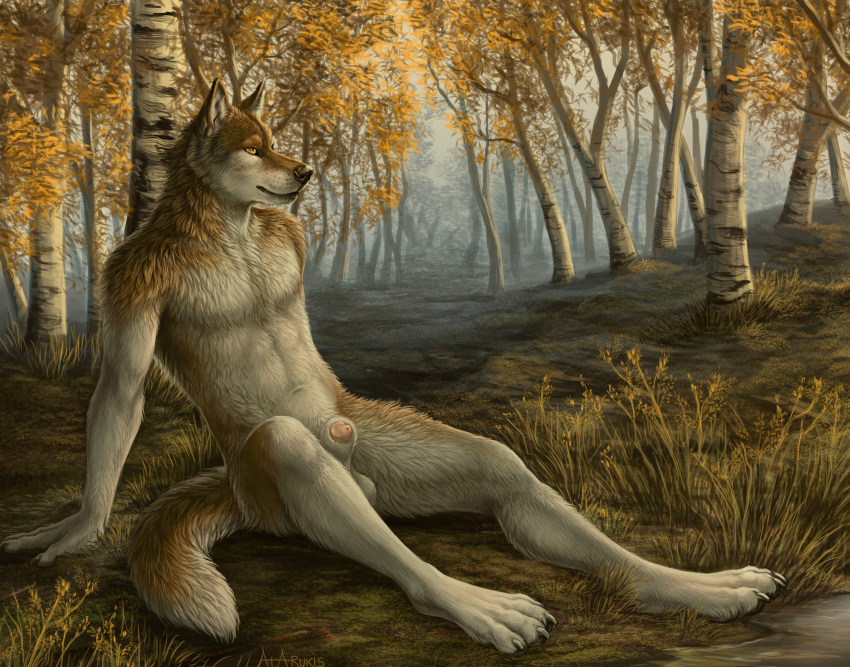 2015 autumn balls brown_fur canine forest fur male mammal nude outside penis penis_tip rukis sheath solo stormwolff tree wolf