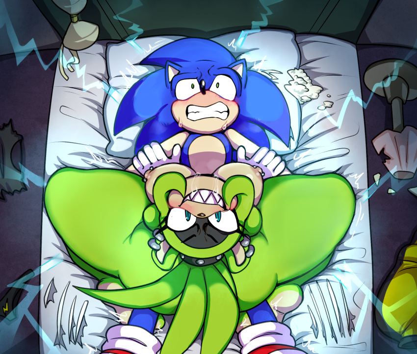 Sonic The Hedgehog (Idw Publishing) Rule 34 Image