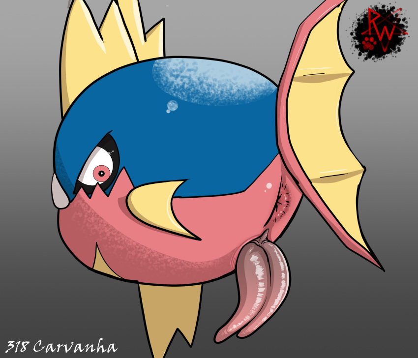 2_penises angry animal_genitalia anus ass big_penis blue_body carvanha digital_media_(artwork) diphallia diphallism erection feral feral_only fish generation_3_pokemon genitals hi_res horizontal_diphallism looking_at_viewer male male_only marine multi_genitalia multi_penis nintendo penis pokemon pokemon_(species) rapistwerewolf rear_view simple_background solo tail teeth