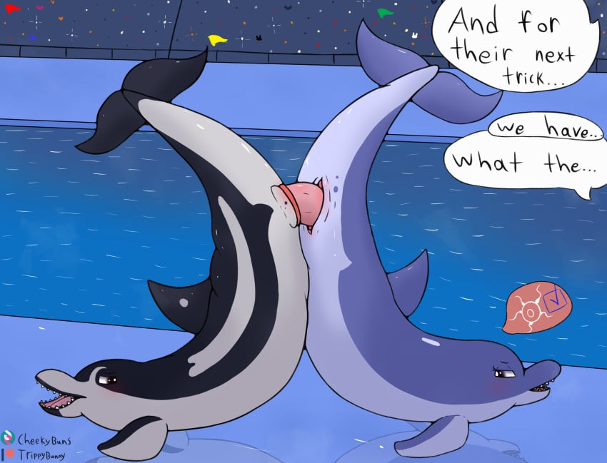 2025 amne_(trippybunny) anatomically_correct cetacean common_dolphin crowd digital_drawing_(artwork) digital_media_(artwork) dolphin duo erection female feral feral_on_feral feral_penetrated feral_penetrating feral_penetrating_feral genitals group hi_res impregnation looking_back male male/female mammal mammary_slits marine oceanic_dolphin outside penetration penile penile_penetration penis penis_in_pussy public public_sex seaworld sex stadium taper tapering_penis toothed_whale trippybunny vaginal_penetration vaginal_penetration water