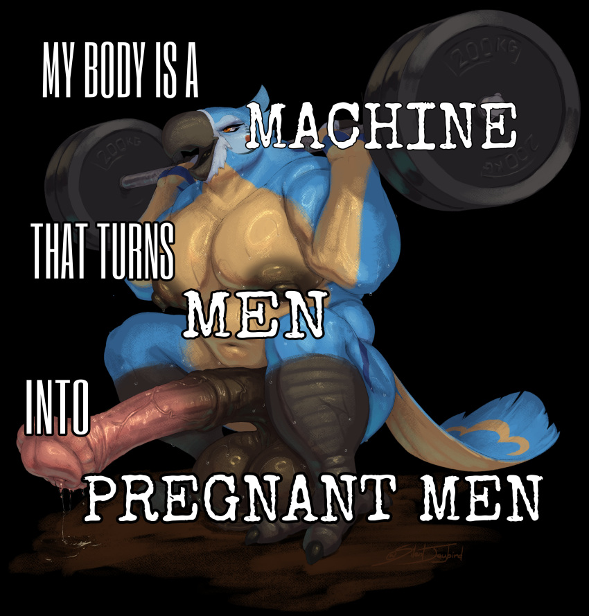 absurd_res animal_genitalia animal_penis anthro areola avian balls big_balls big_pecs big_penis bodily_fluids breath_of_the_wild crouching equine_genitalia equine_penis exercise genital_fluids genitals hi_res huge_balls huge_cock kass_(tloz) kass_(zelda) leaking_precum male meme meme_pose musclegut muscular nintendo nipples pecs penis precum rito silentjay sweat the_legend_of_zelda weightlifting workout