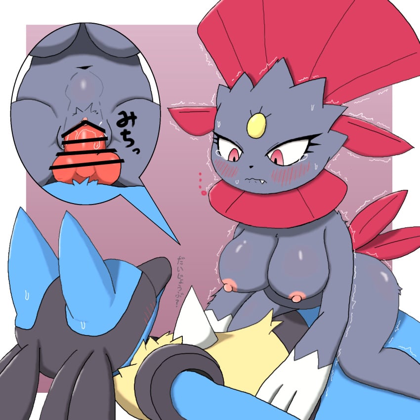 animal_genitalia animal_penis anthro big_breasts bodily_fluids breasts censored cowgirl_position crying duo faceless_character faceless_male female from_front_position generation_4_pokemon genitals hi_res japanese_text lucario male male/female male_lucario nintendo nipples on_bottom on_top penetration penis pokemon pokemon_(species) sex shaking simple_background tears text trembling weavile zk_(artist)