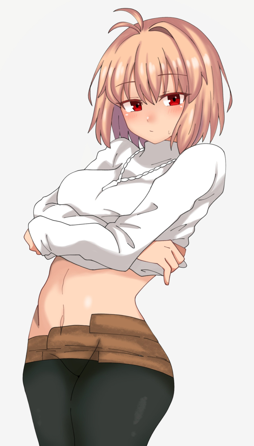 Arcueid Brunestud Rule 34 Image