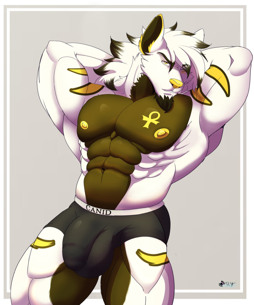 abs ankh anthro areola barazoku biceps big_bulge big_muscles biped boxer_briefs boxer_briefs_only bulge canid canine canis clothed clothing detailed_bulge facial_hair genital_outline goatee goldomond hair hand_behind_head hi_res long_hair looking_at_viewer male male_anthro mammal markings muscular muscular_anthro muscular_male nipples pecs penis_outline quads simple_background sly_shadex solo stretching topless topless_anthro topless_male underwear underwear_only white_body wolf yellow_markings yellow_nipples