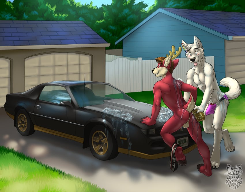 2015 anthro antlers ass balls camaro canine car cervine clothing deer duo ear_piercing erection fur hair horn male mammal nude outside penis penis_outline piercing smile sponge tongue tongue_out underwear vallhund vehicle wet wolf yaoi