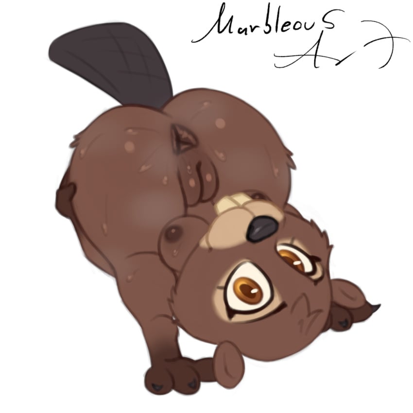 1girls anthro anus ass beaver breasts buckteeth disney female female_only furry looking_at_viewer marbleous nibbles_maplestick nipples nude presenting pussy solo sweat teeth zootopia zootopia_2