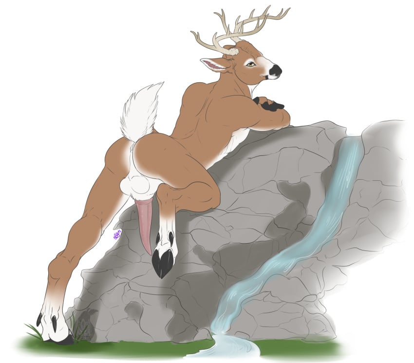 1boy 2015 annubrius anthro antlers anus ass balls bedroom_eyes cervine deer dyen fur half-closed_eyes hooves horn looking_at_viewer looking_back male male_only mammal nude penis pinup pose presenting presenting_hindquarters raised_tail seductive solo