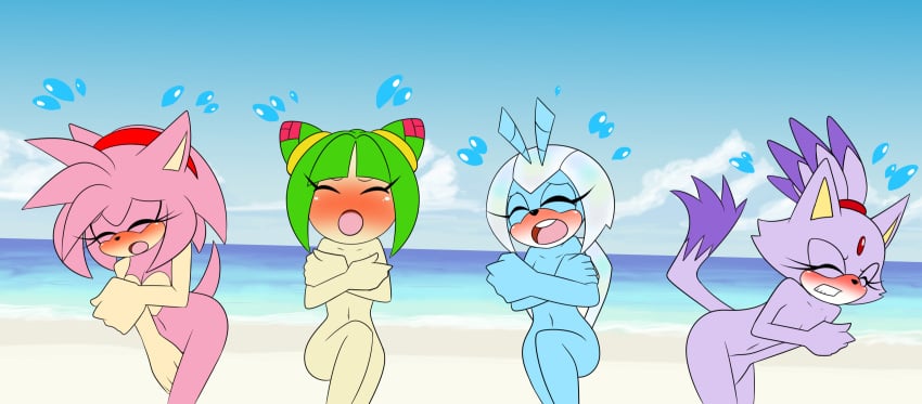 Sonic (Series) Rule 34 Image
