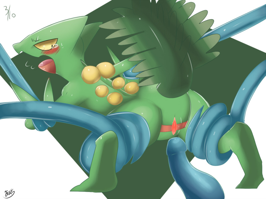 Pokemon (Species) Rule 34 Image