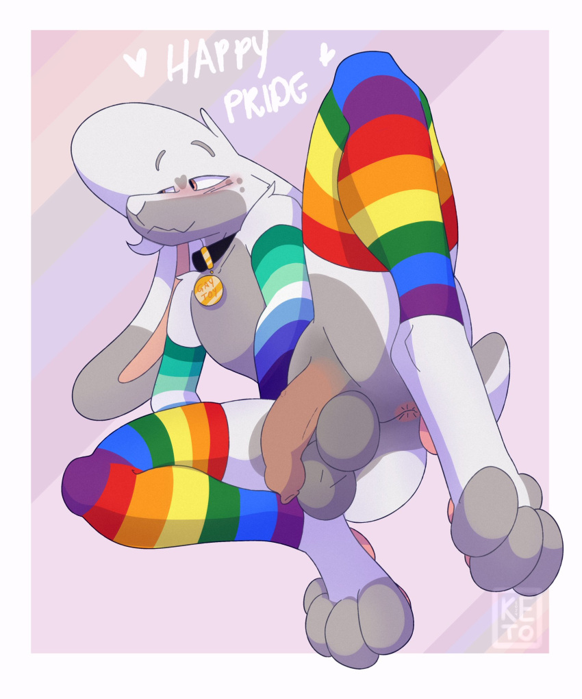 anthro gay gay_flag ketofur pride_month rainbow rainbow_flag yako_(ketofur)