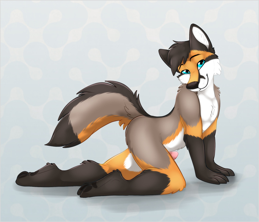 2015 all_fours blue_eyes canine fox fur grey_fur kwik looking_at_viewer male male_only mammal nude orange_fur penis pinup pose solo
