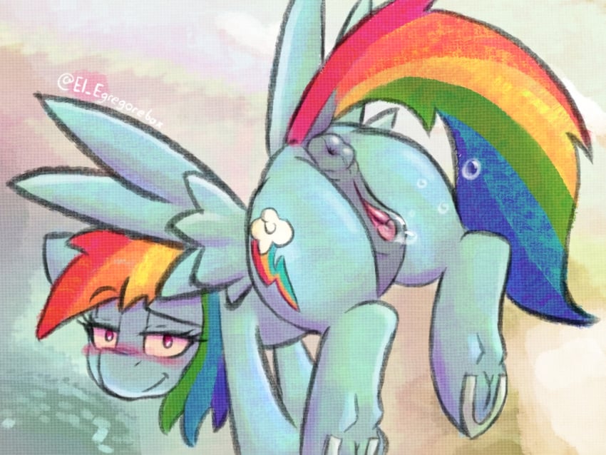 anus equid equine equine_anus female feral friendship_is_magic genitals gorebox_(artist) hasbro horse looking_at_viewer mammal my_little_pony mythological_creature mythological_equine mythology pegasus pony puffy_anus pussy rainbow_dash_(mlp) smile solo wings