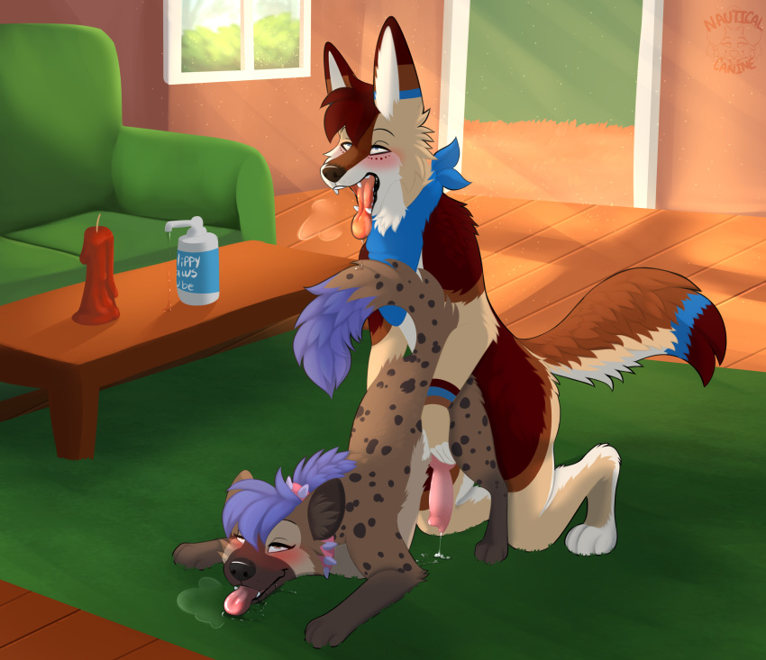 2d Rule 34 Image