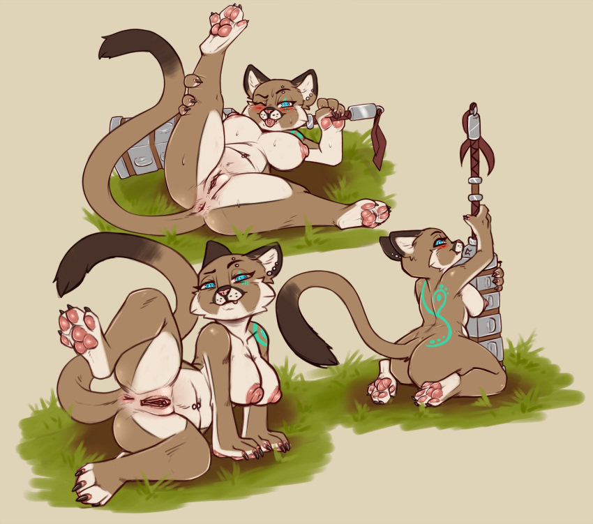 Anthro Rule 34 Image
