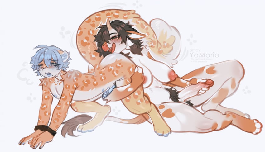 Kiki (Yamorio) Rule 34 Image