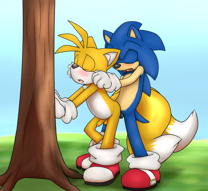 2015 against_tree anal anal_sex anthro balls blush canine closed_eyes emerald-physics fox fur hedgehog jeffybunny_(artist) male male_only mammal multiple_males open_mouth penetration penis sega sex sonic_(series) sonic_the_hedgehog tails tree uncut yaoi