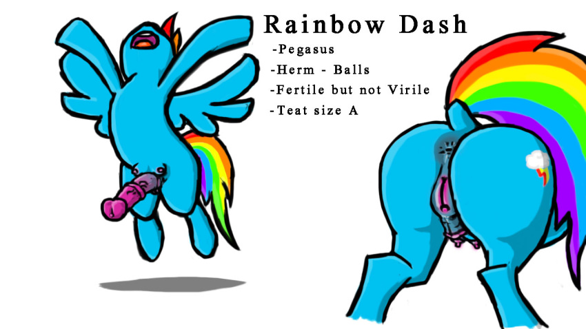 anus ass blue_fur breasts crotchboobs equine friendship_is_magic fur furpics futanari hair herm hermaphrodite intersex mammal multi_genitalia multicolored_hair my_little_pony pegasus penis pussy rainbow_dash_(mlp) wings