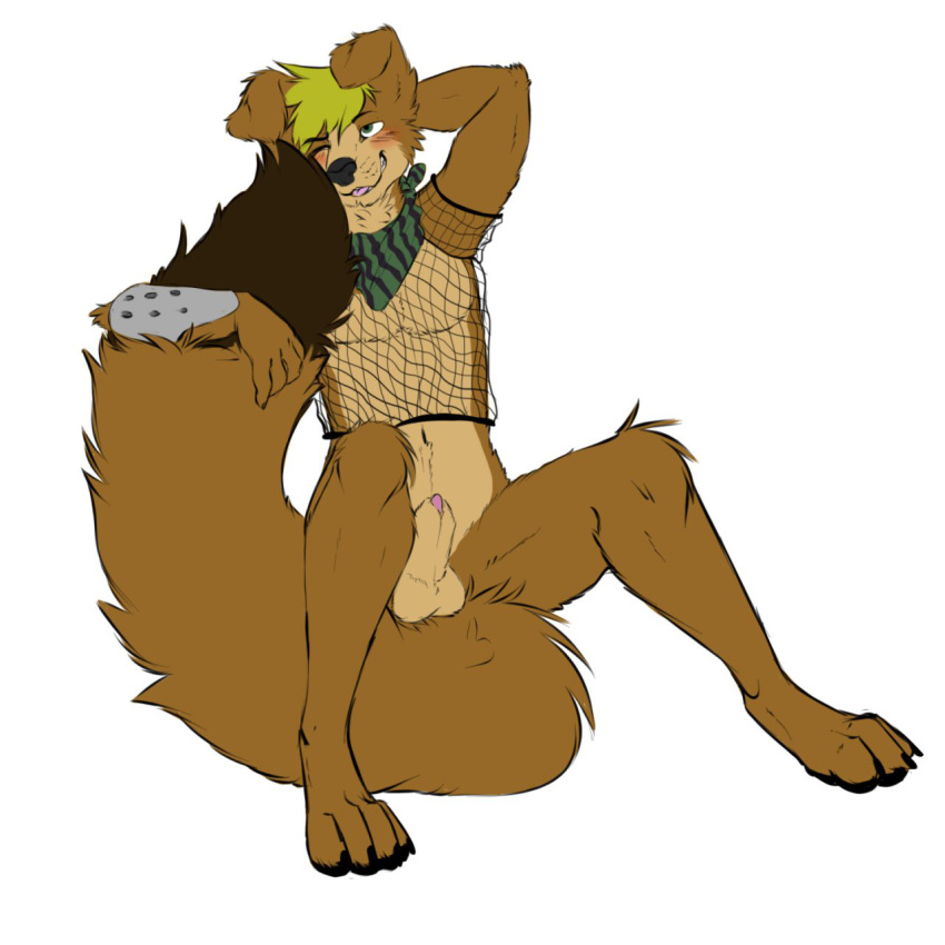 1boy anthro balls bandana blush border_collie bottomless canine clothed clothing embarrassed fishnet fluffy_tail half-dressed jethro_(character) male male_only mammal metal_sleeve penis penis_tip plain_background shapeshifterprincess sheath sitting smile solo