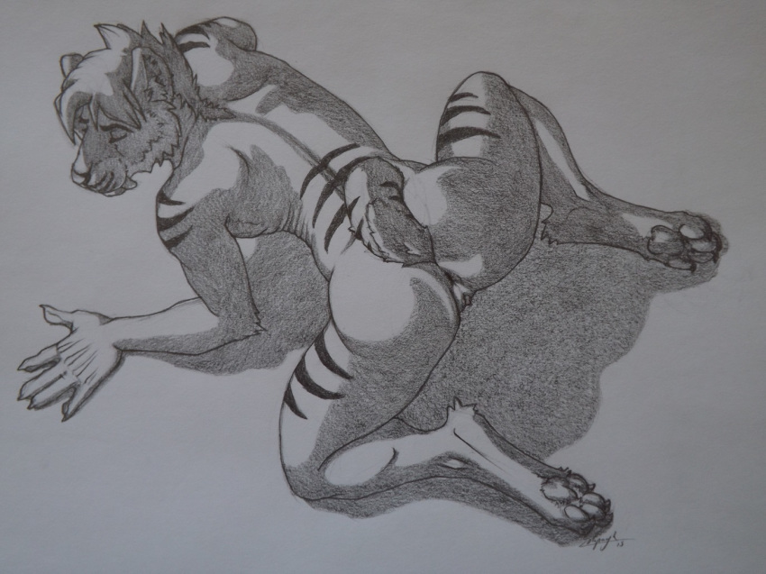 all_fours anus ass ass_up closed_eyes fangs feline female mammal pawpads paws pussy raised_tail sabertooth sinistervibe smilodon solo stripes traditional_media_(artwork)