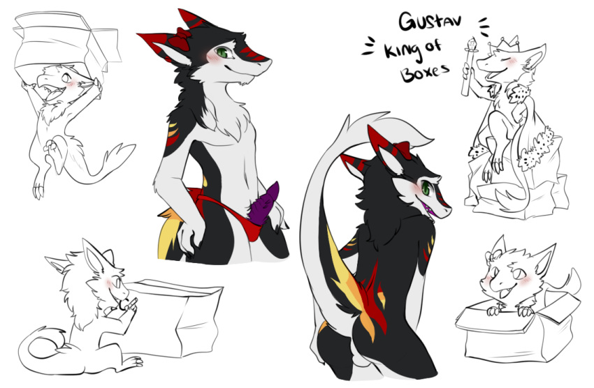 balls blush bow box cute gustav looking_at_viewer male male_only penis remonpie sergal solo