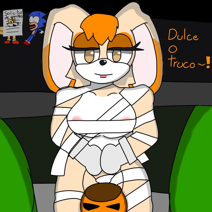 Sonic (Series) Rule 34 Image