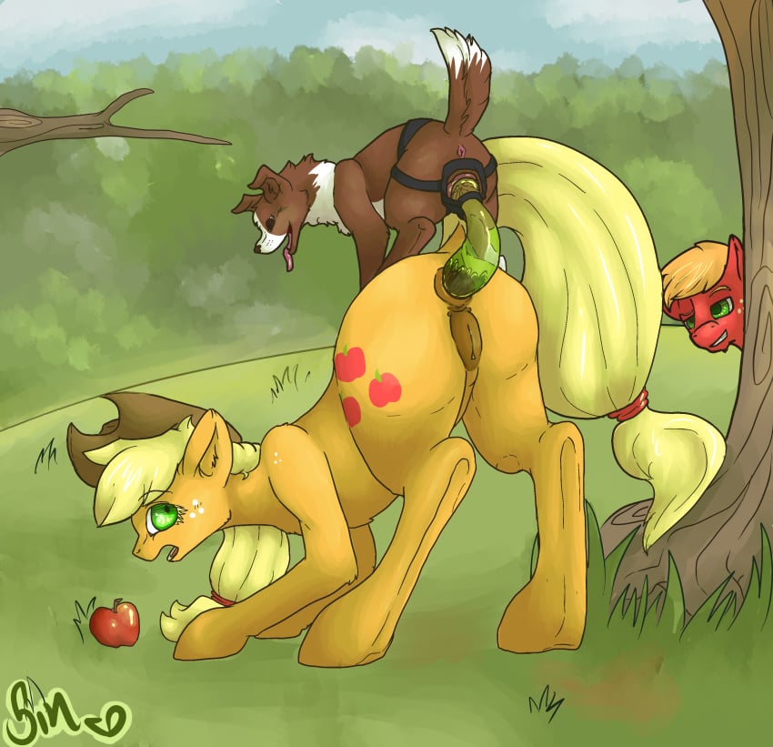 anal anus applejack_(mlp) big_macintosh_(mlp) canine dildo double_dildo earth_pony equine female feral friendship_is_magic horse mammal my_little_pony poisindoodles pony pussy sex_toy strapon surprise_buttsex surprise_sex voyeur winona_(mlp) yuri