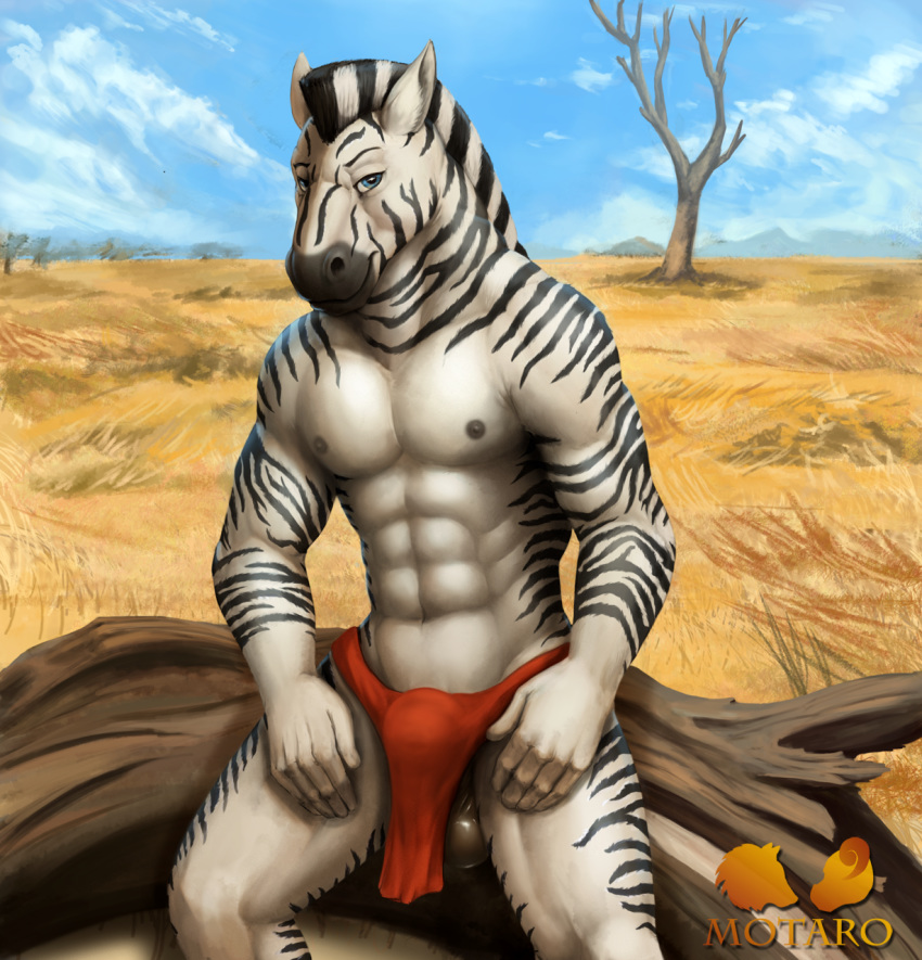 1boy abs anthro balls biceps bulge clothed clothing equine fur furry furry_only hair half-closed_eyes half-dressed loincloth looking_at_viewer male male_only mammal mohawk motaro_(artist) muscles navel nipples outside pecs sitting smile solo zebra