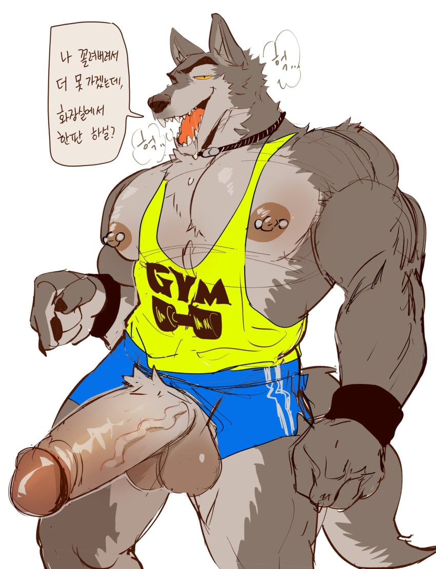 2024 anthro big_balls big_penis canid collar gym_clothes huge_balls huge_cock large_areolae male_only nipple_piercing penis short_shorts solo solo_male tank_top ten_g89 thick_penis veiny_penis wolf wristband