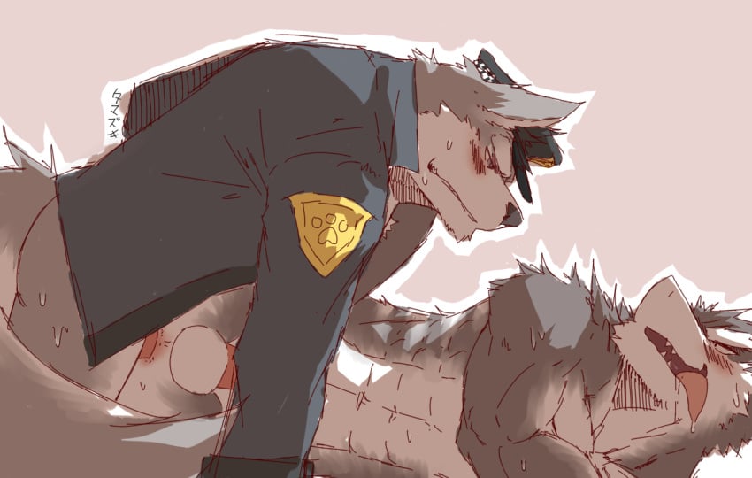 abs anal anthro balls blushes canine erection fur iruga_(theiruga) kemono male mammal muscles officer penetration penis ramzo_hiryuga_(braziliandog) sergal sex tamazukiakiyama yaoi