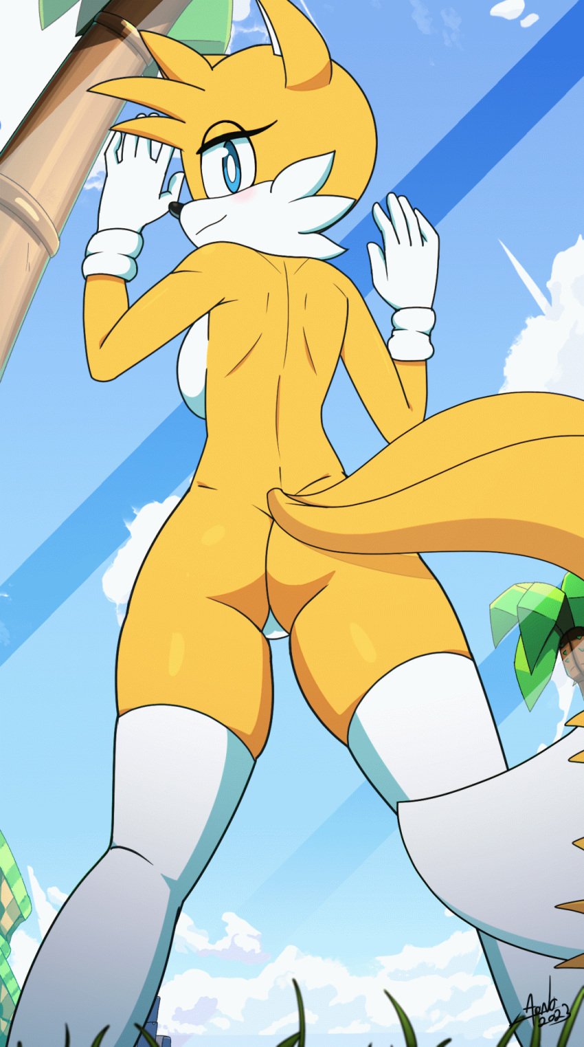 animated aonoexorcist100 ass_focus background big_ass big_breasts big_tail blue_eyes female female_only furry gif glass high_thighs legs looking_at_viewer looking_back orange_fur rule63 rule_63 sideboob solo sonic_(series) tails tails_the_fox tailsko