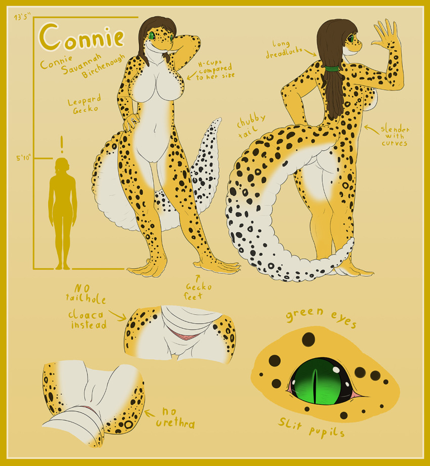 animal_genitalia big_breasts big_tail breasts cloaca dreadlocks female gecko leopard_gecko lizard model_sheet nude pussy reptile scalie theenglishhobo thigh_gap vader-san