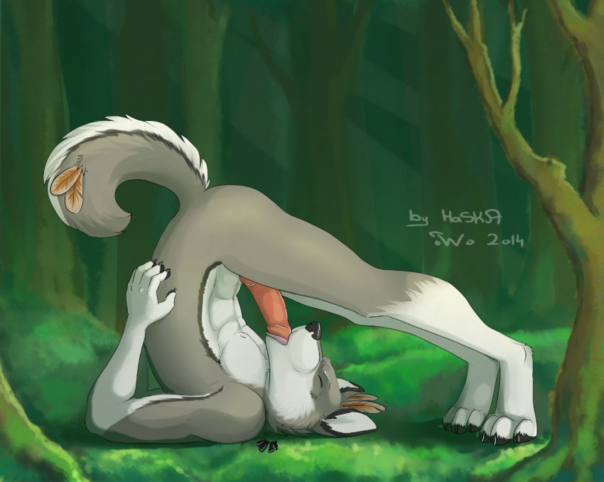 1boy 2014 anthro canine closed_eyes erection forest fur haska male male_only mammal muscles nature nude open_mouth outside penis solo tree wolf