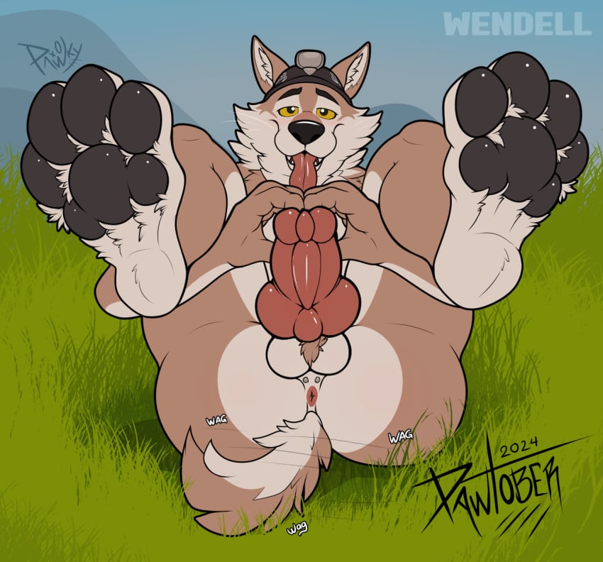 anthro anus balls canid canine canis epic_games fortnite genitals knot male mammal pawpads paws pawzzhky piercing presenting raised_paw solo wendell_(fortnite) wolf