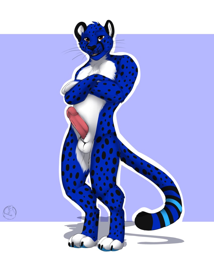 1boy anthro anthro_only balls blue_fur brown_eyes carifoxleopard cheetah cum erection feline fur looking_at_viewer male male_only mammal paws penis plain_background presenting shadow solo spots stripes subzero white_fur