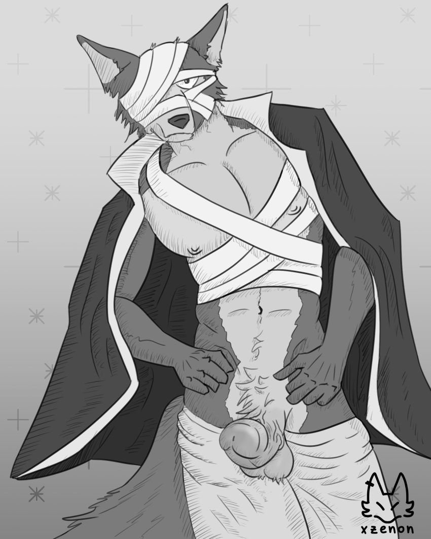 Legoshi (Beastars) Rule 34 Image