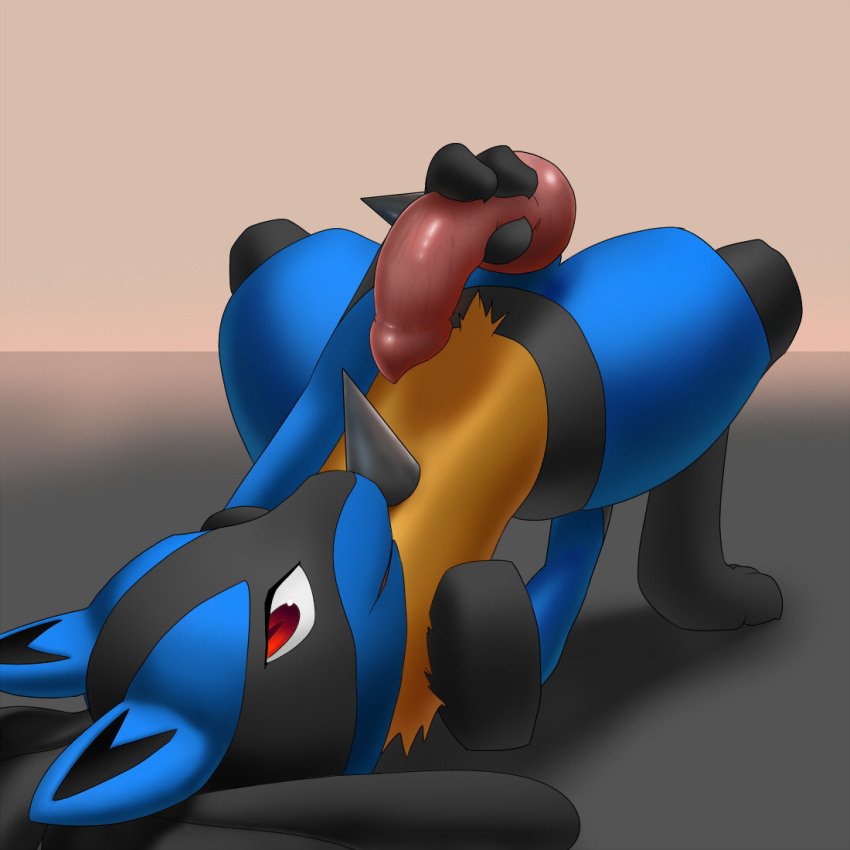 1boy anthro canine ducati fur furry lucario male male_only mammal nintendo nude penis pokemon pokemon_(species) pokemon_dppt solo veins veiny_penis video_games