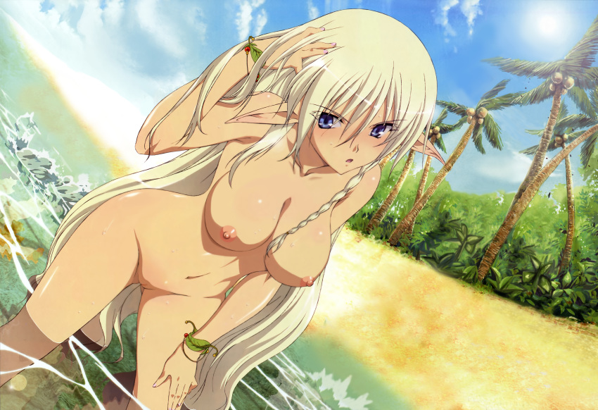 absurdres alleyne beach blue_eyes braid breasts cloud drill_hair dutch_angle elf female highres innie_pussy leaf long_hair megami miyazawa_tsutomu nude_filter palm_tree photoshop pointy_ears pussy queen's_blade silver_hair sky solo tree uncensored very_long_hair water