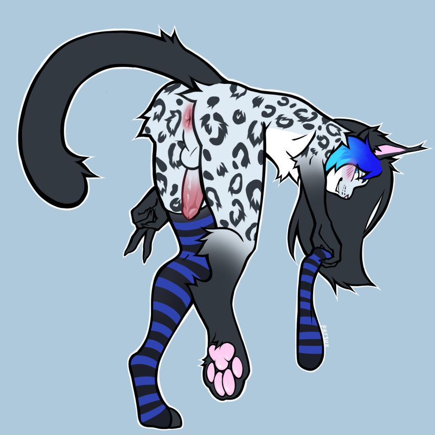 anthro anus ass balls black_arms black_ears black_hair black_legs black_tail blue_eyes blue_highlights blush clothing ear_tuft felid feline femboy genitals hair hi_res highlights_(coloring) hybrid jay_mcyaru leg_warmers legwear leopard_spots lynx male mammal pantherine penis presuk simple_background snow_leopard solo spots tail tuft white_body