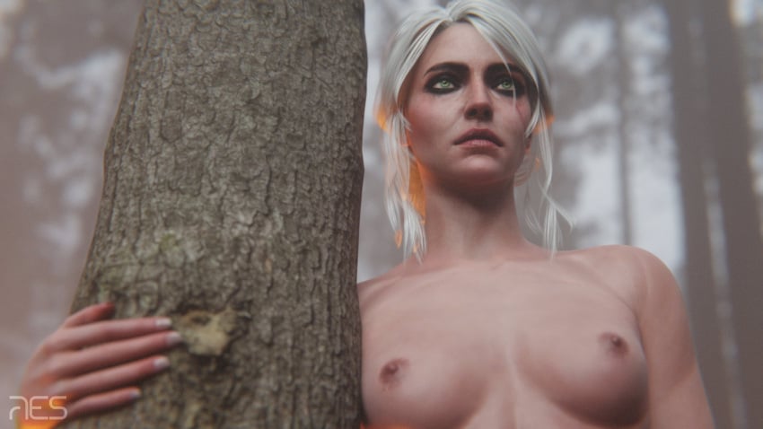 3d breasts ciri female green_eyes light-skinned_female nipples outdoors scar solo the_witcher_(series) the_witcher_3:_wild_hunt white_hair witcherres