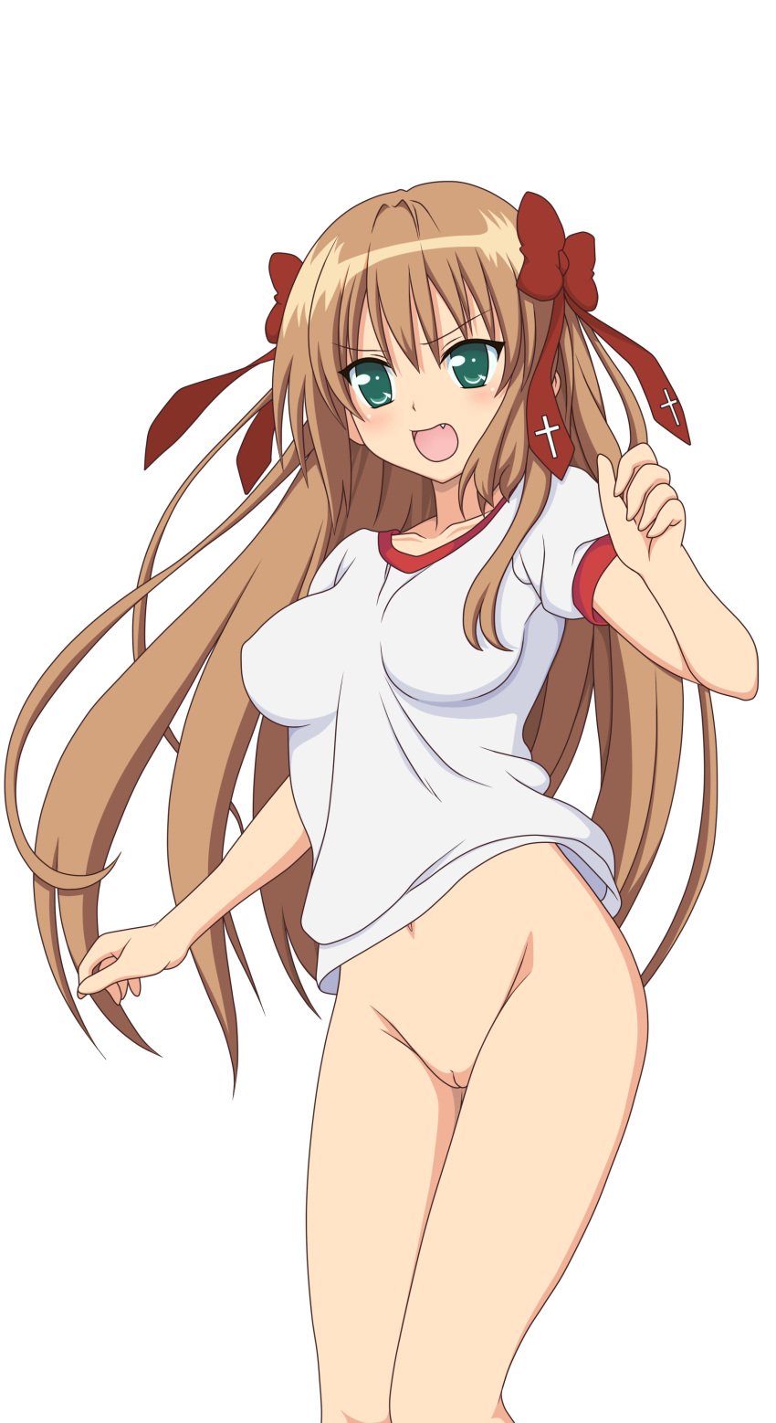 absurdres blush brown_hair female female_only green_eyes highres human innie_pussy legs long_hair mayoi_neko_overrun! nude_filter photoshop pussy serizawa_fumino solo thighs uncensored