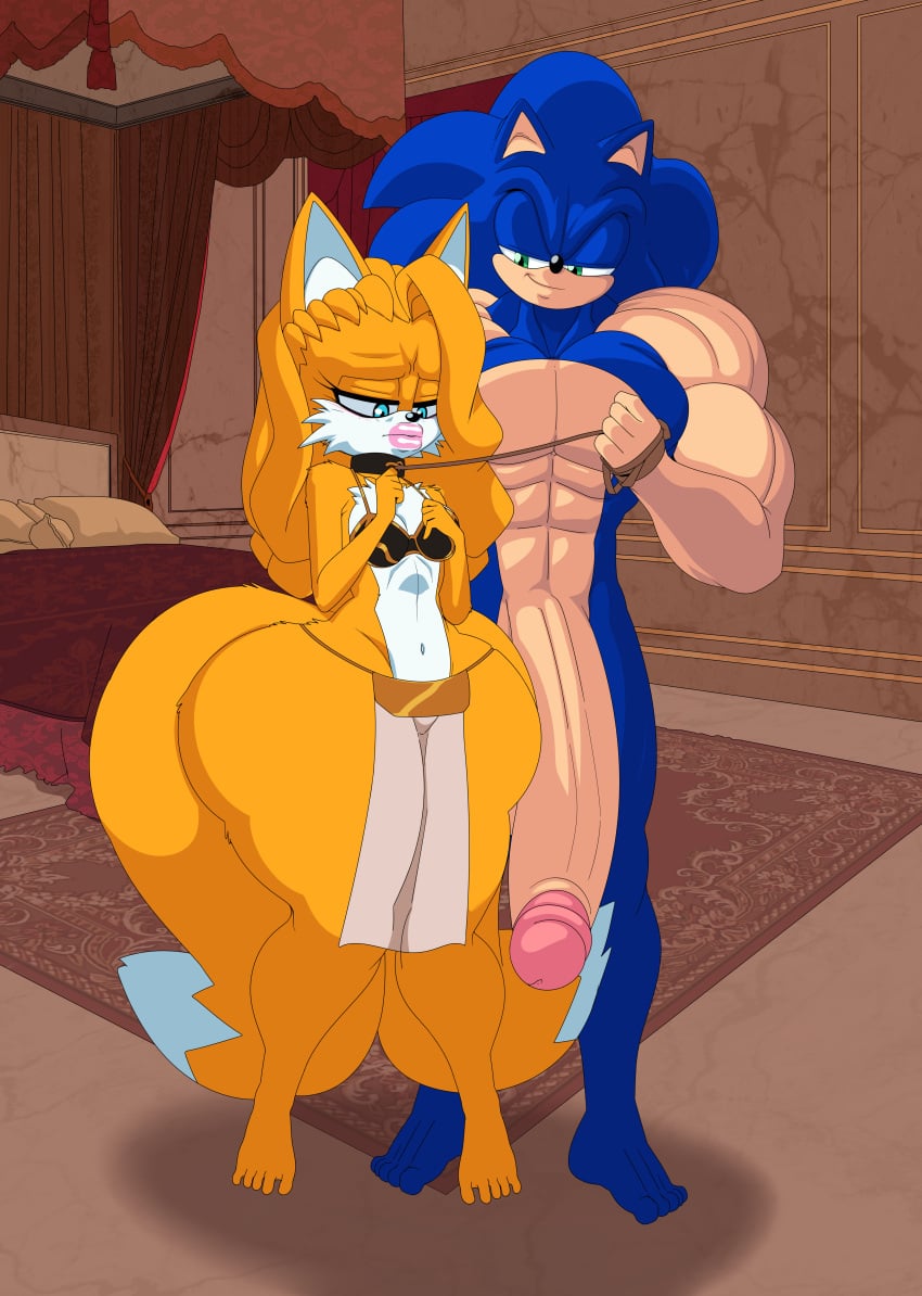 Sonic The Hedgehog (Sonic (Series)) Rule 34 Image