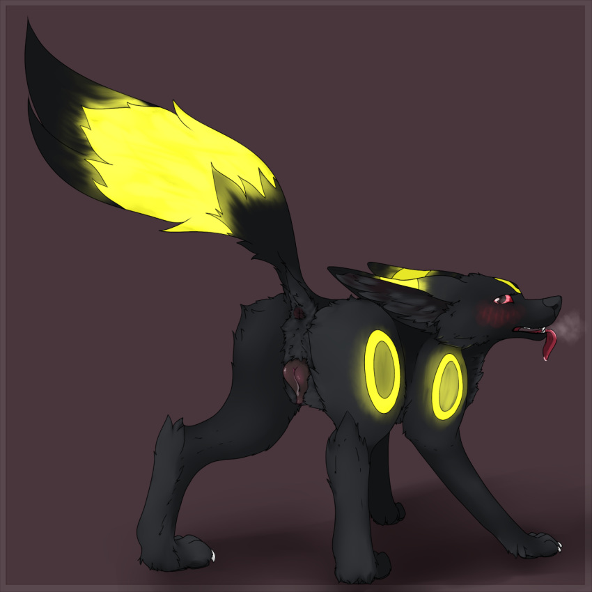 2015 anatomically_correct anatomically_correct_pussy animal_genitalia ass blush canine canine_pussy eeveelution ennismore female feral fur in_heat looking_back mammal nintendo pokemon presenting presenting_hindquarters presenting_pussy pussy pussy_juice raised_tail solo tongue tongue_out umbreon video_games