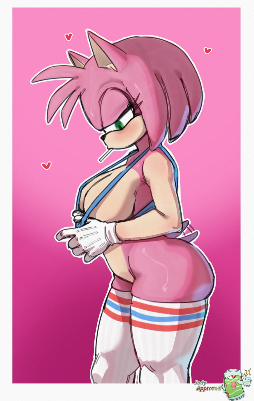 Amy Rose (Sonic (Series)) Rule 34 Image