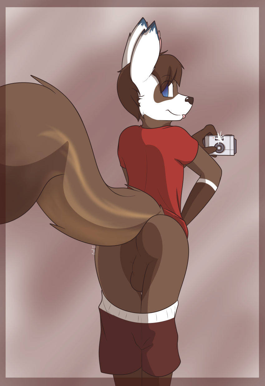 2014 anthro ass backsack balls blue_eyes bourbon_(djijey_hellfire) brown_fur brown_hair camera clothing darknader fur hair hi_res looking_at_viewer looking_back male male_only mammal pants pants_down rear_view rodent selfie shirt shorts smile solo squirrel teasing tongue tongue_out white_fur