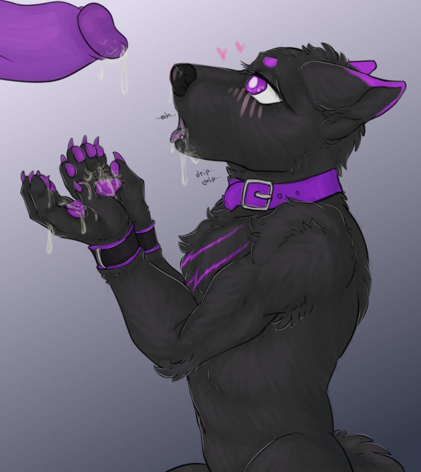 anthro black_body black_fur bodily_fluids canid canine canis collar cuff_(restraint) cum cum_in_mouth cum_inside cum_on_hand ejaculation epistaxiophilia fur genital_fluids genitals hands-free hi_res male mammal pawpads penis purple_pawpads purple_penis restraints solo_focus wolf wuffywufferson